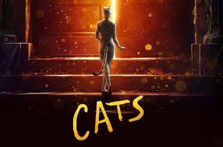cats-vfx image - Toolbox Studio