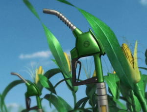Praj Cornfield Commercial video work - Toolbox