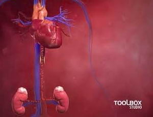 Corporate Film - LTI Red Axis