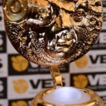 ves awards 2019